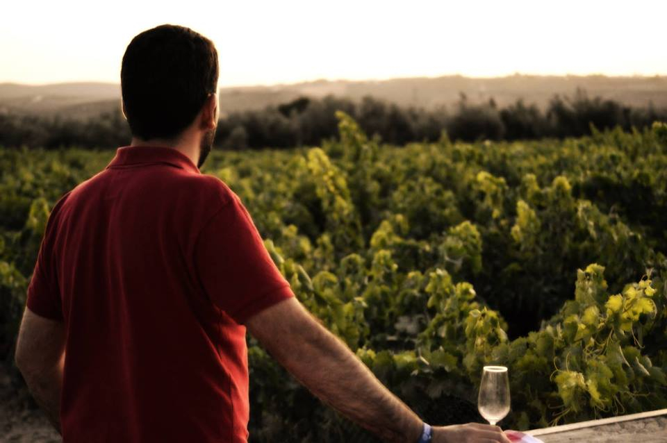 Winery Viña La Constancia: Exclusive Guided Tour & Wine Tasting