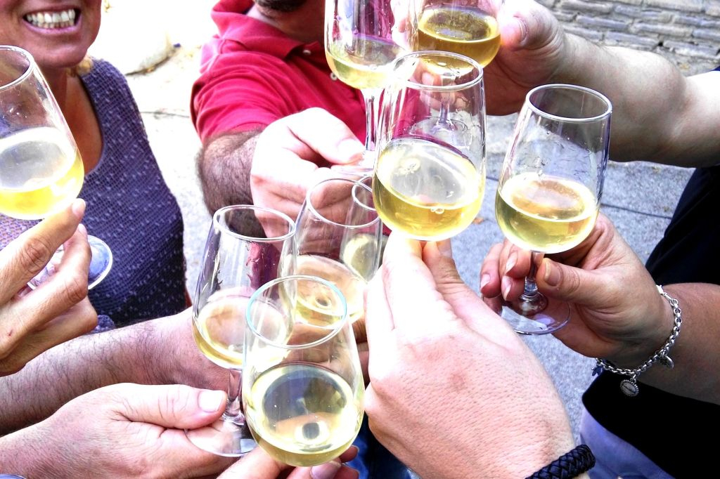 Winery Viña La Constancia: Exclusive Guided Tour & Wine Tasting