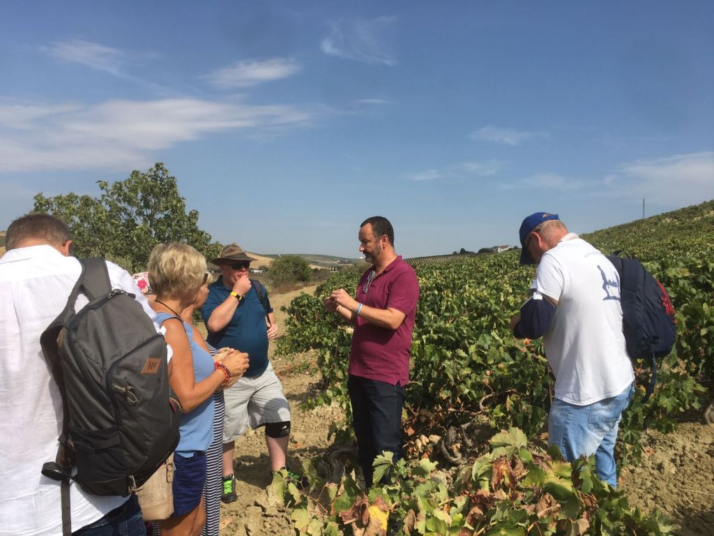 Winery Viña La Constancia: Exclusive Guided Tour & Wine Tasting