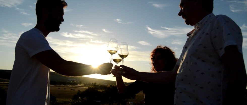 Winery Viña La Constancia: Exclusive Guided Tour & Wine Tasting