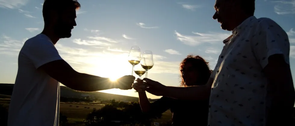 Winery Viña La Constancia: Exclusive Guided Tour & Wine Tasting