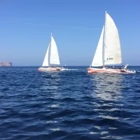 Bay of Fornells: Half-Day Catamaran Trip