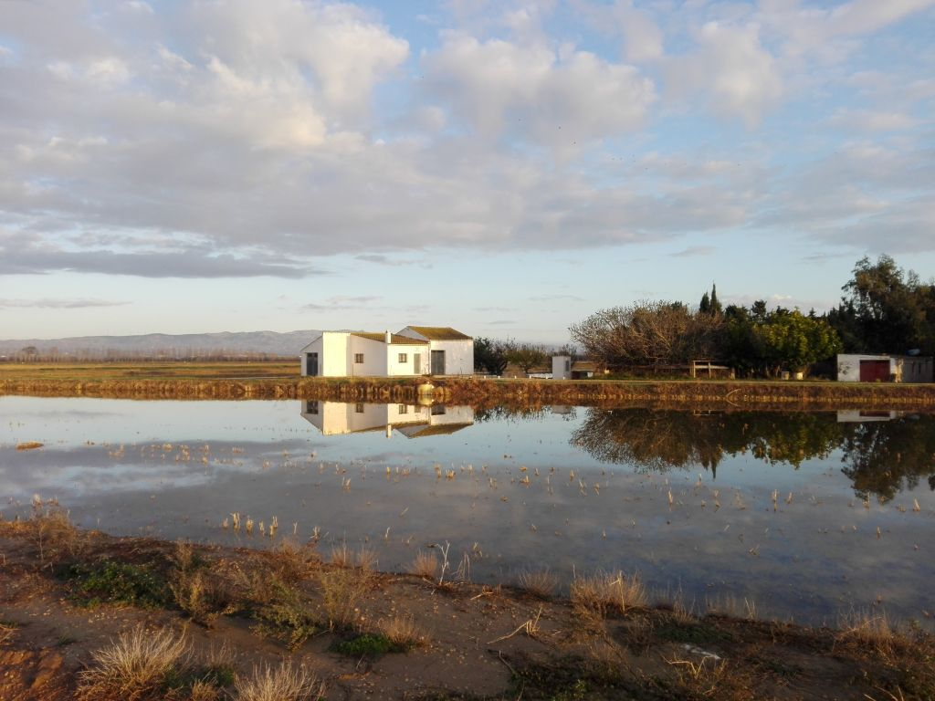 Ebro Delta Vehicle Excursion Tour