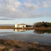Ebro Delta Vehicle Excursion Tour