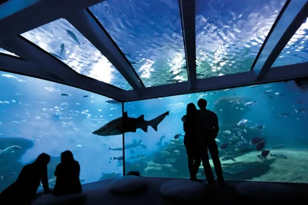 Palma Aquarium: Entry Ticket + Transfer from Cala Ratjada Area