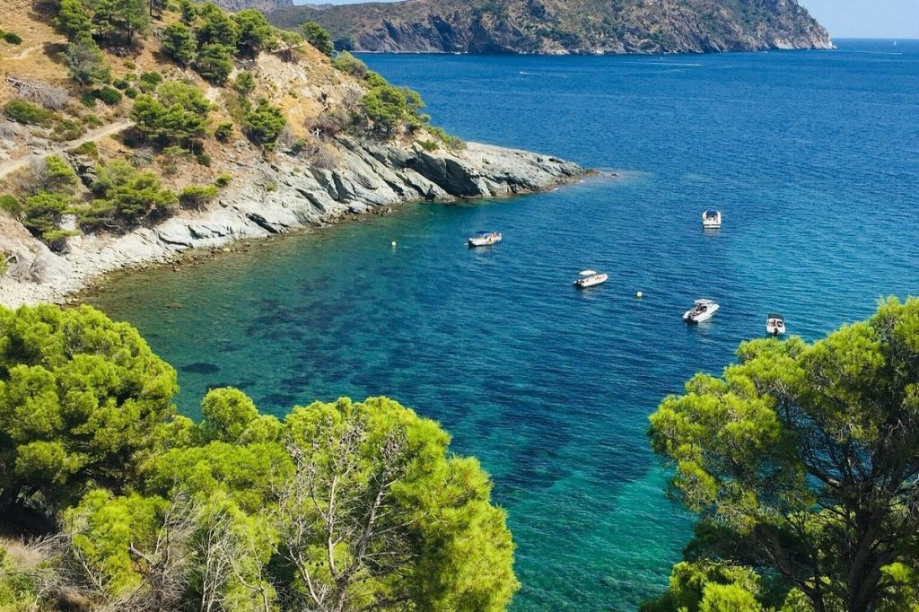 Glass bottom Boat Trip to Cala Murtra from Roses