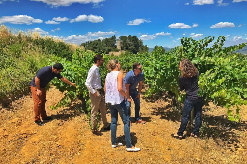 Wine & Sparkling Wine Premium Tour