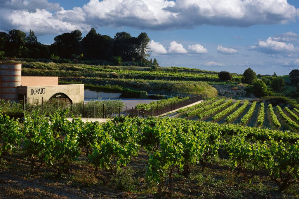 Wine & Sparkling Wine Premium Tour