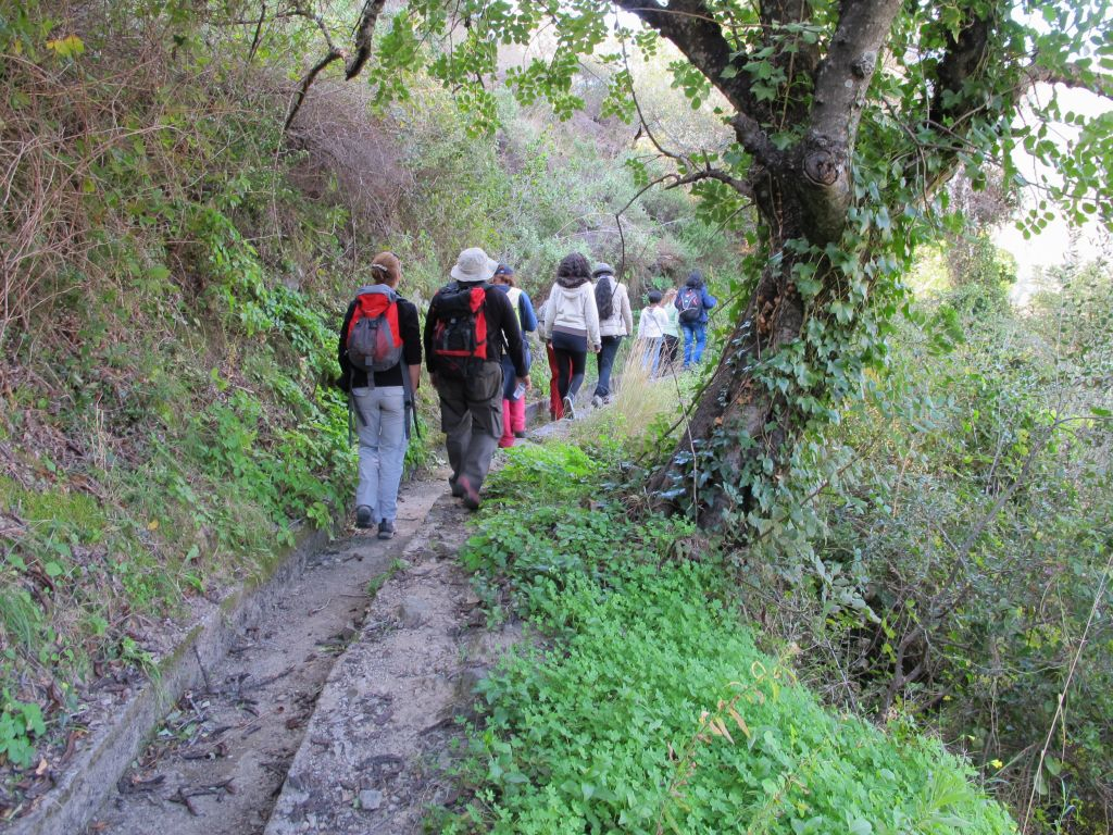 Hiking Tour: Istán Village