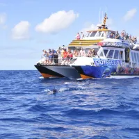 Fuerteventura Odyssee 3