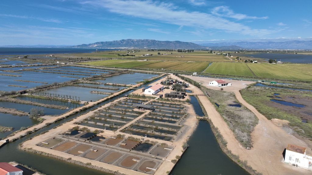 Guided visit to MónNatura Delta de l'Ebre