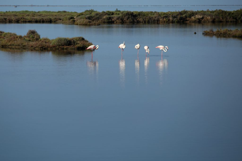 Guided visit to MónNatura Delta de l'Ebre
