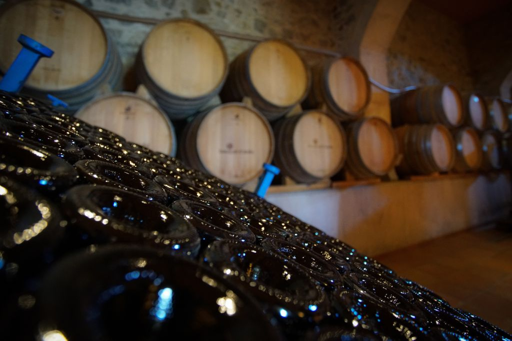 E-Bike, Vineyard Tour, Wine Tasting & Sailing Experience from Barcelona