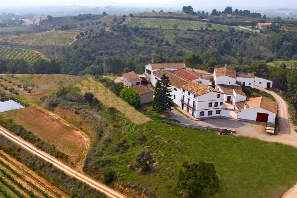 Penedès Wine Cellar Visit + Tasting: Day Trip from Barcelona