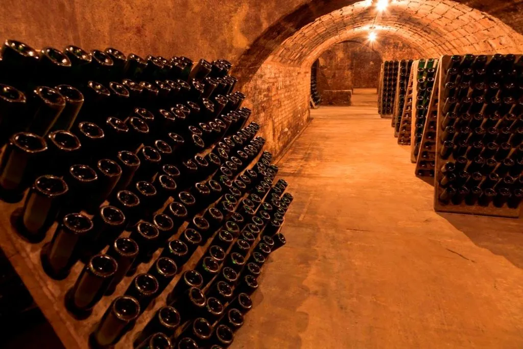 Penedès Wine Cellar Visit + Tasting: Day Trip from Barcelona