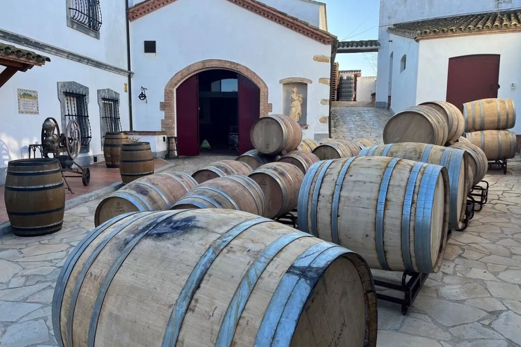 Penedès Wine Cellar Visit + Tasting: Day Trip from Barcelona