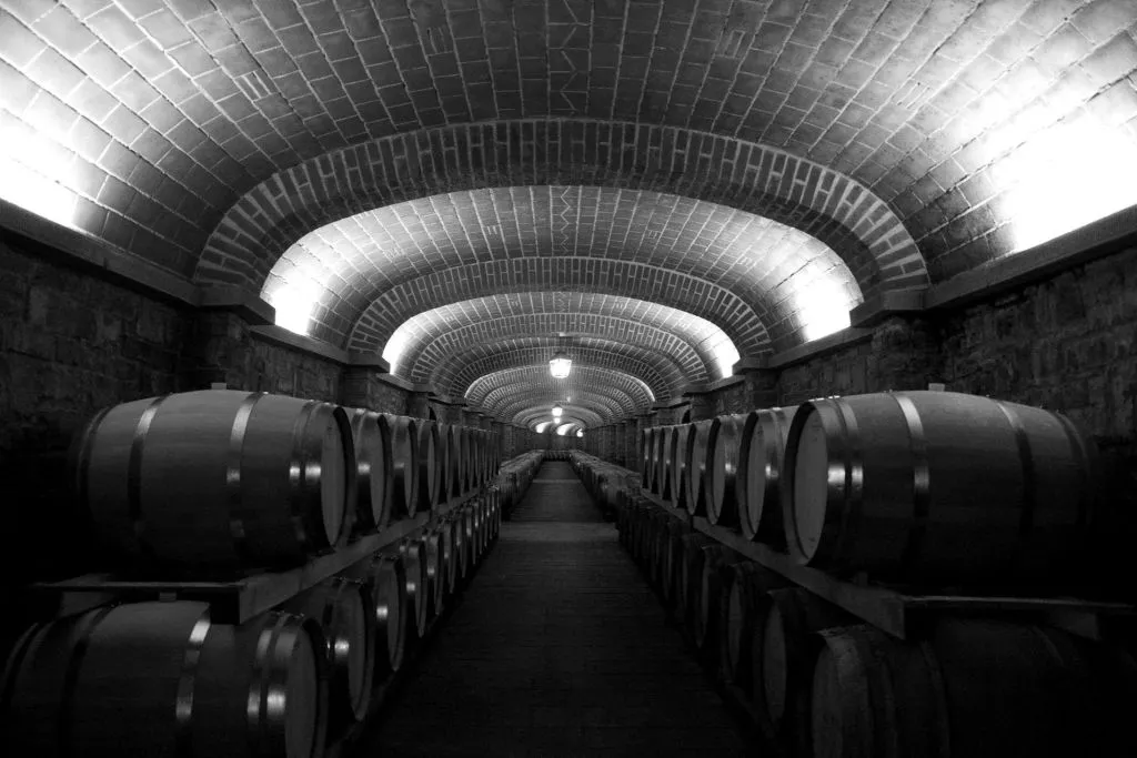 Penedès Wine Cellar Visit + Tasting: Day Trip from Barcelona