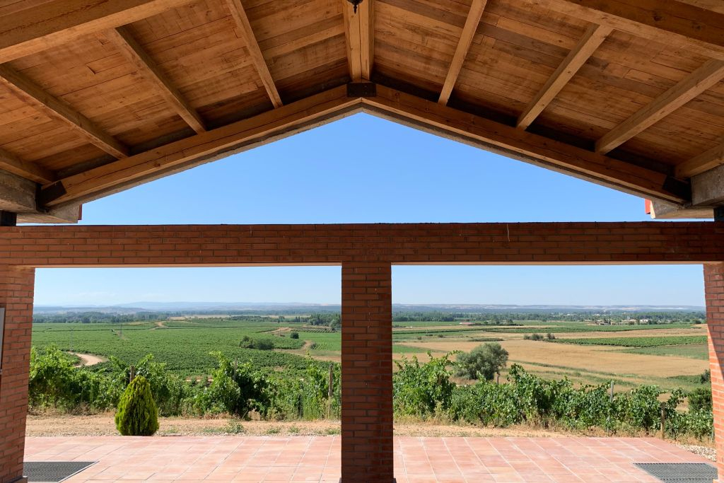 Visita con opzione vino, aperitivo e menu degustazione a Ribera del Duero