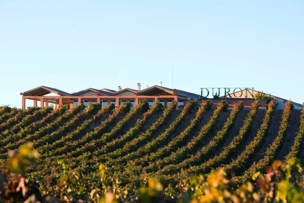 Visita con opción de vino, aperitivo y menú degustación en Ribera del Duero