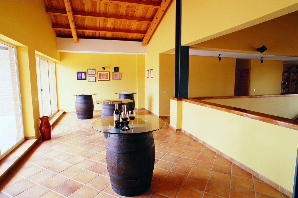 Visita con opzione vino, aperitivo e menu degustazione a Ribera del Duero