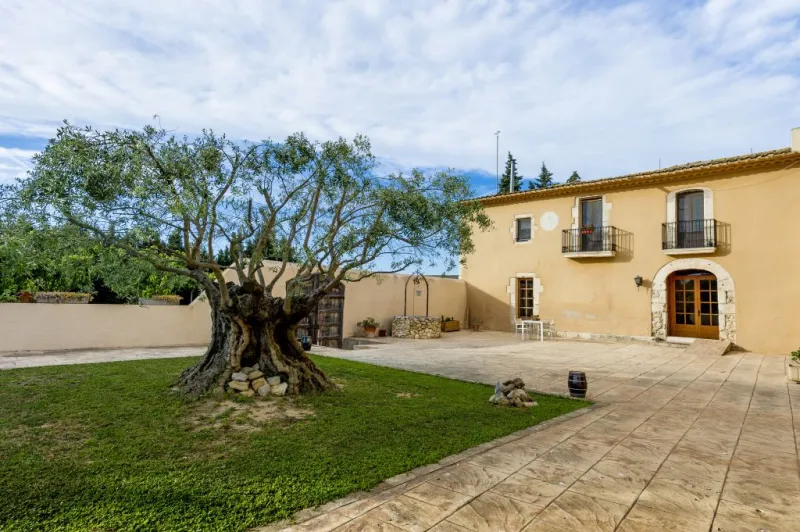 ArtCava: Cava Workshop