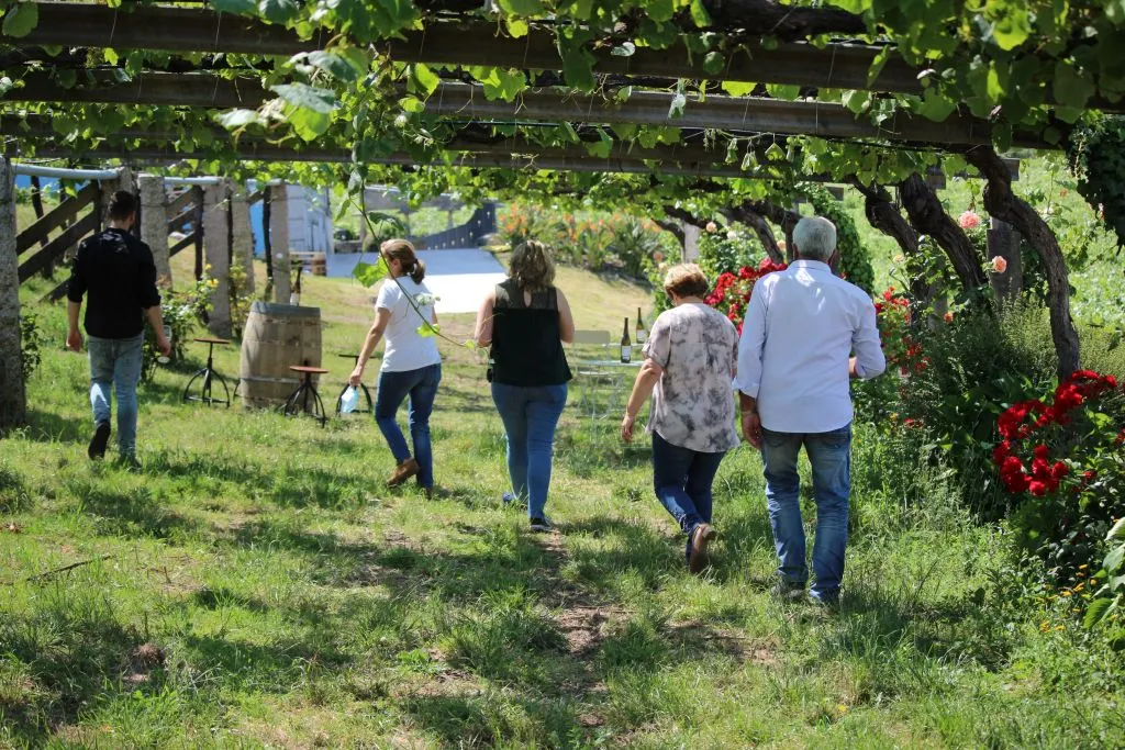Granbazan Winery: Guided Tour and Wine Tasting
