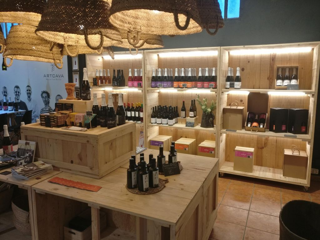 ArtCava: Visita a los viñedos y bodegas