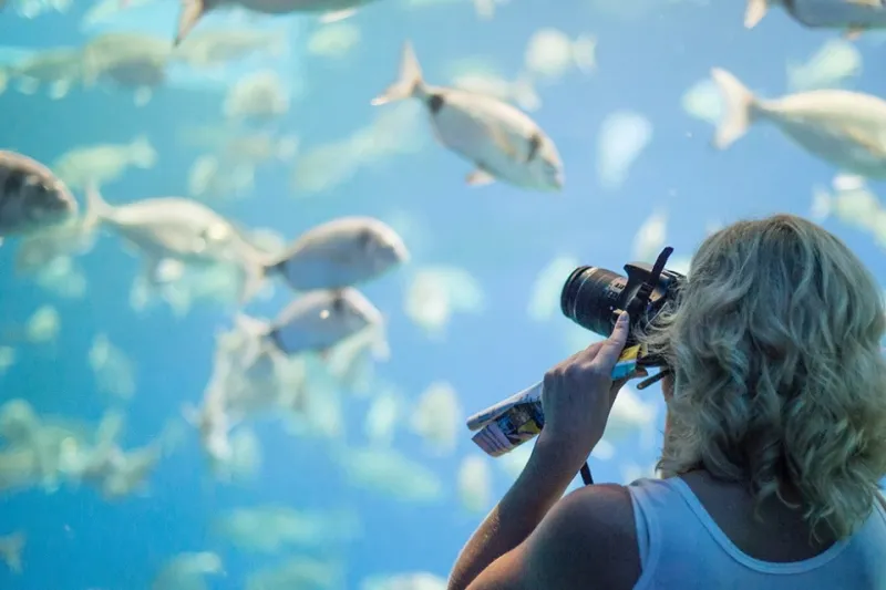 Palma Aquarium: Entrada + Traslado desde el Norte