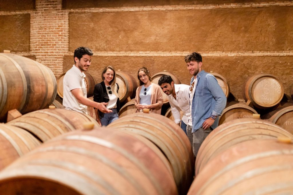 Tolède : visite de la ville et des vignobles depuis Madrid + dégustation de vin