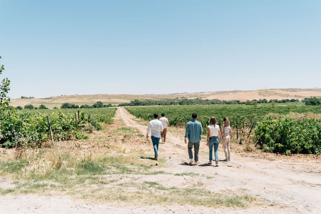 Toledo: City & Winery Tour from Madrid + Wine Tasting