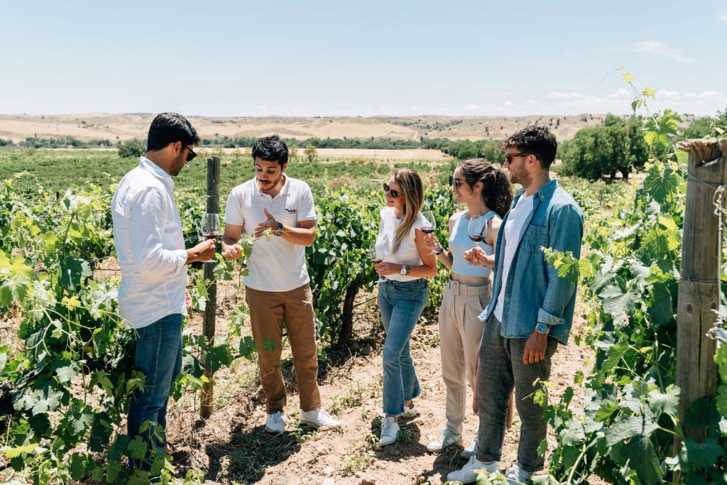 Toledo: City & Winery Tour from Madrid + Wine Tasting