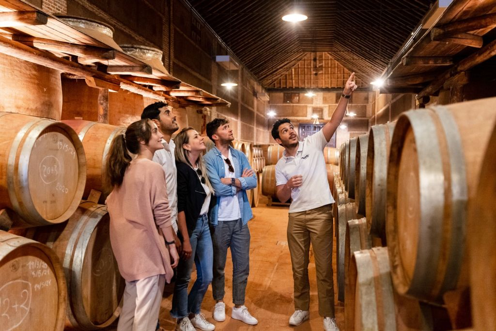 Toledo: City & Winery Tour from Madrid + Wine Tasting