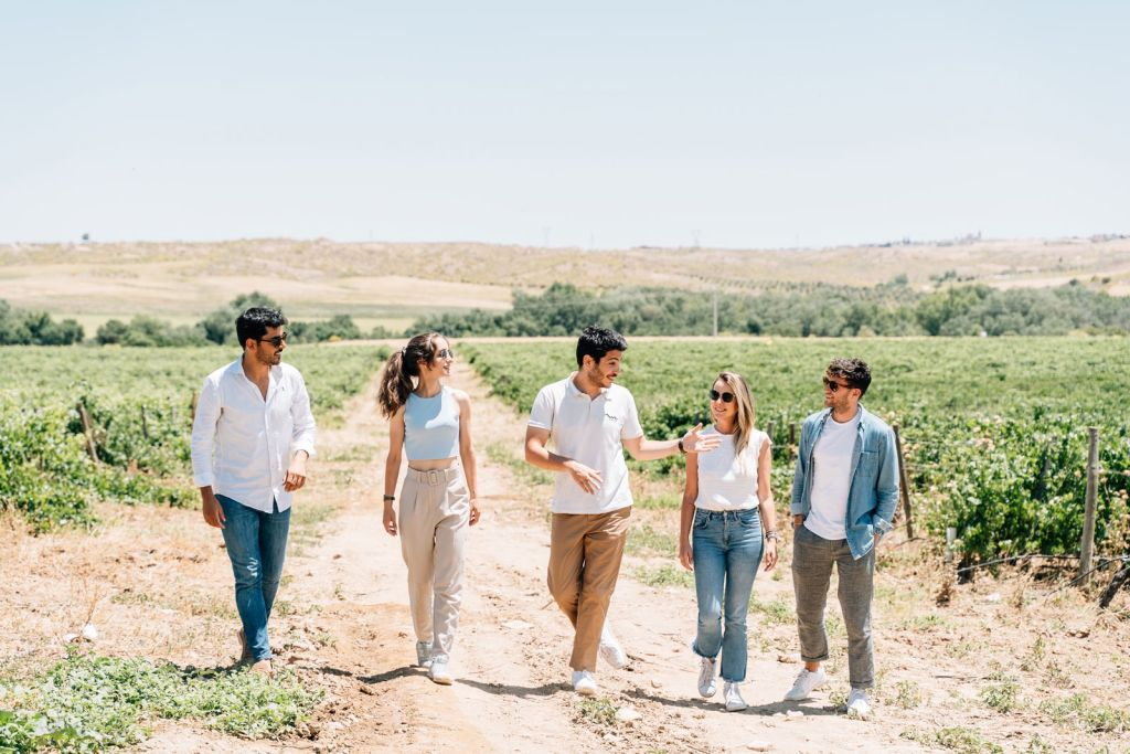 Toledo: City & Winery Tour from Madrid + Wine Tasting