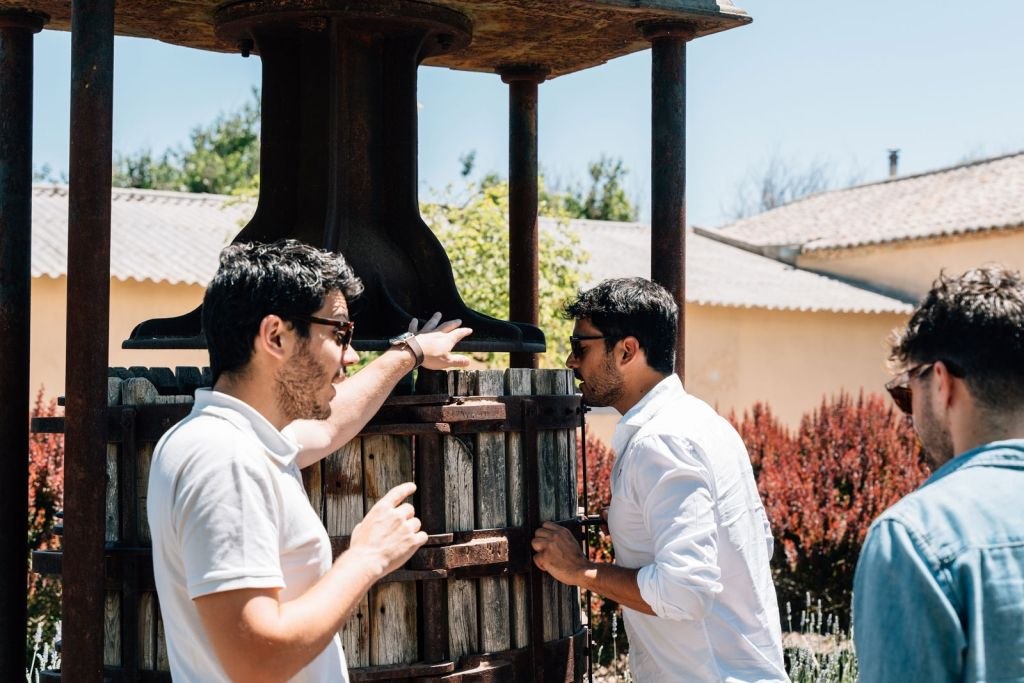 Toledo: City & Winery Tour from Madrid + Wine Tasting