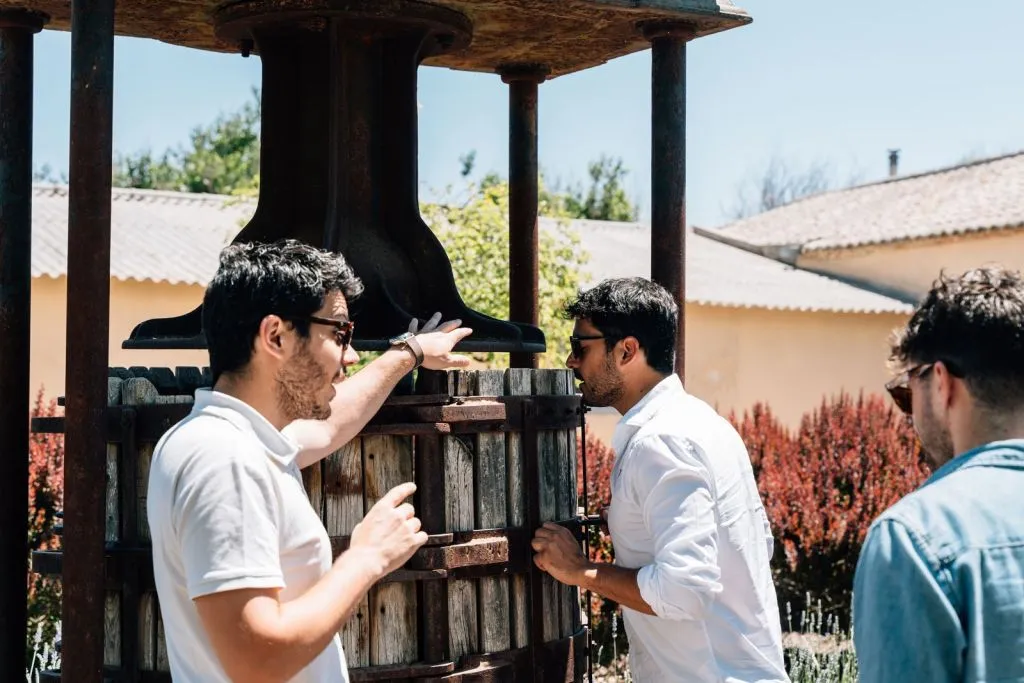 Toledo: City & Winery Tour from Madrid + Wine Tasting