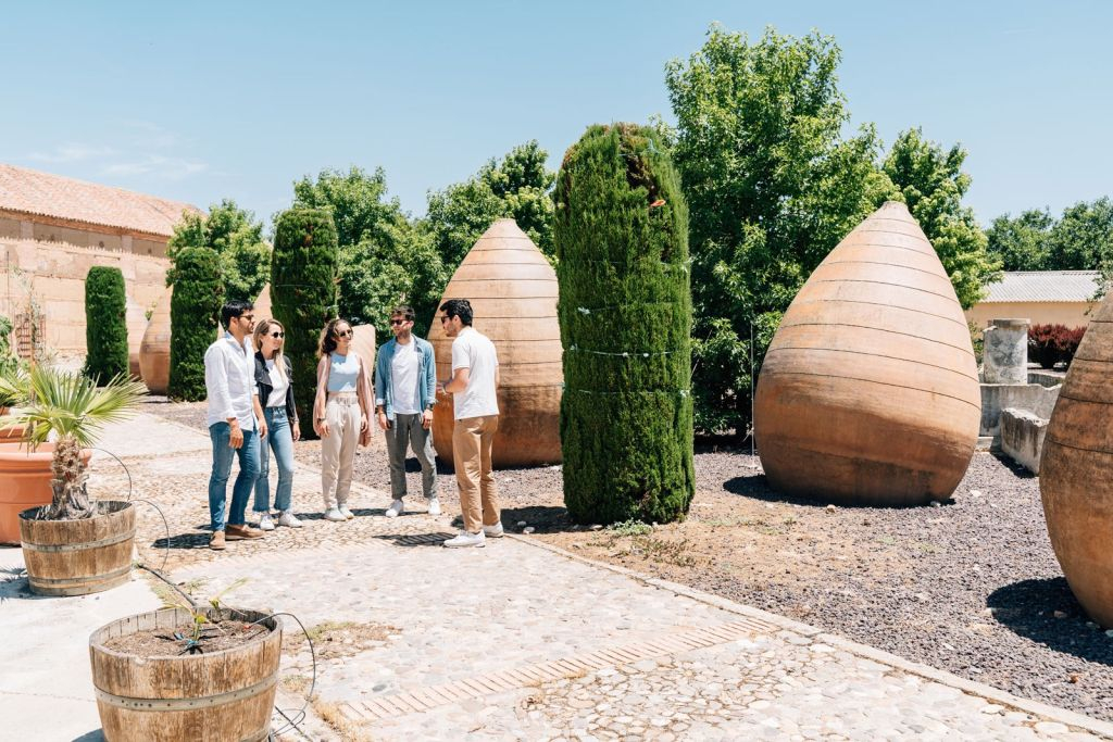 Toledo: City & Winery Tour from Madrid + Wine Tasting