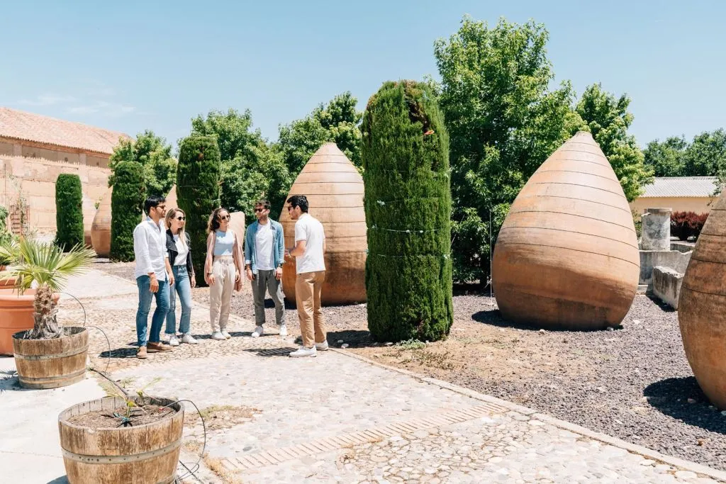 Toledo: City & Winery Tour from Madrid + Wine Tasting