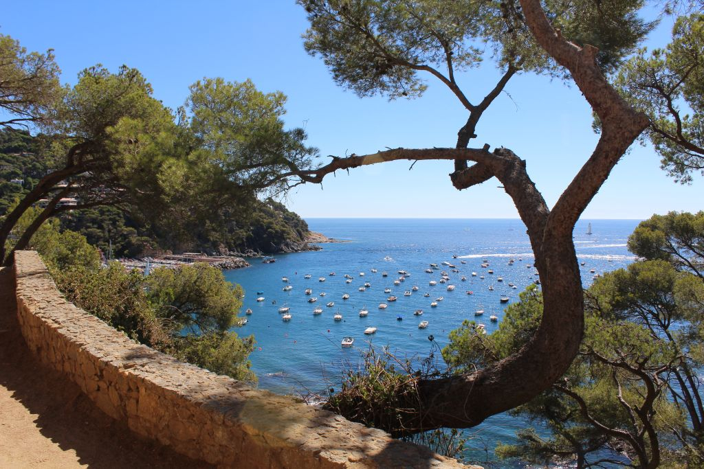 Barcelona to the Costa Brava: Full-Day Tour