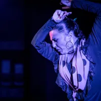 Alegría Flamenco Málaga