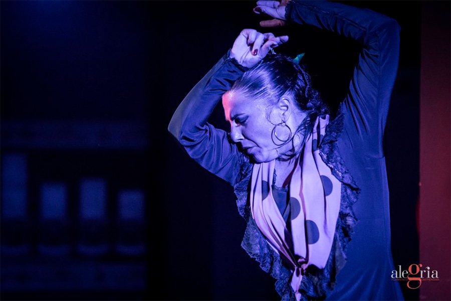 Alegría Flamenco: Espectáculo