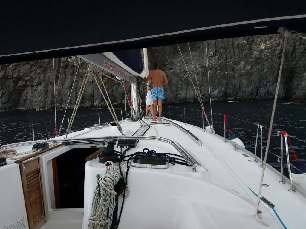 Observación de delfines y ballenas en velero