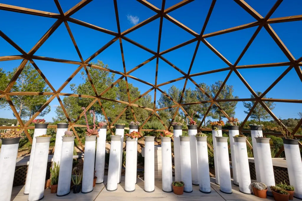 Ibiza Botánico Biotecnológico: Entrada sin colas