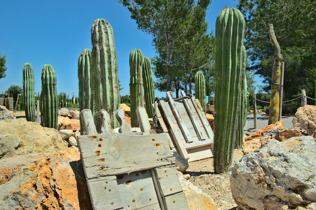 Ibiza Botánico Biotecnológico: Entrada sin colas