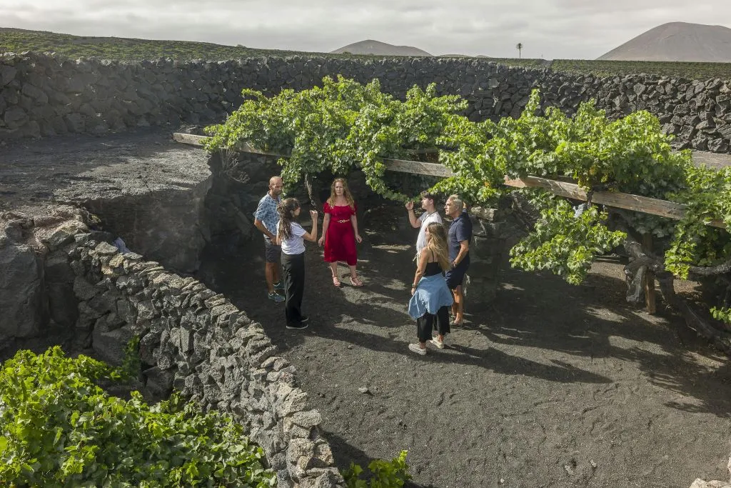 Bodega El Grifo y Museo del Vino