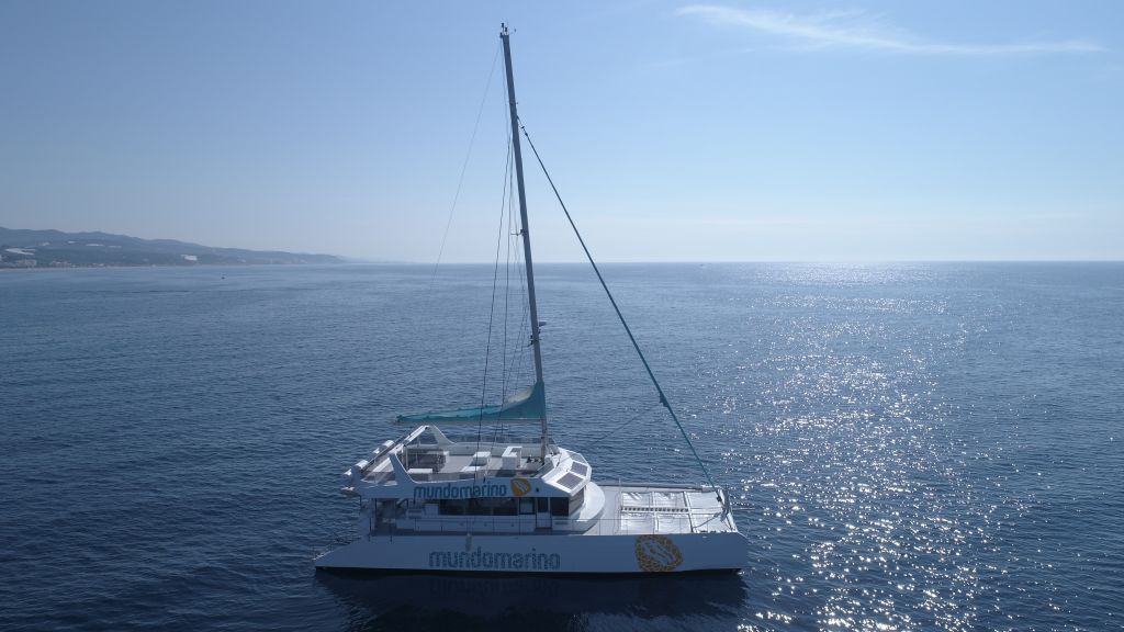 Tours en Catamarán por Málaga