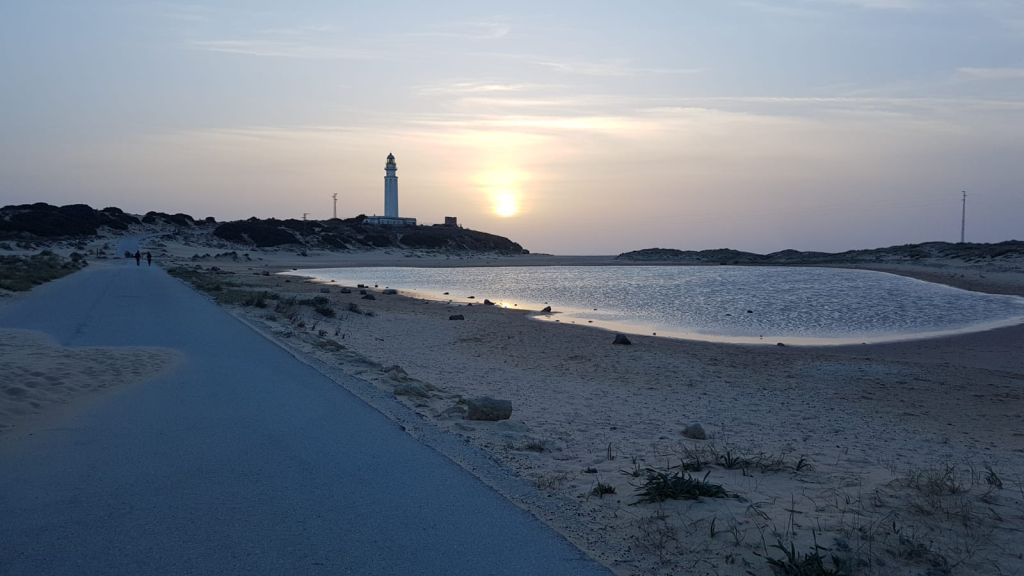 Cádiz and Jerez de la Frontera: Day Trip from Seville