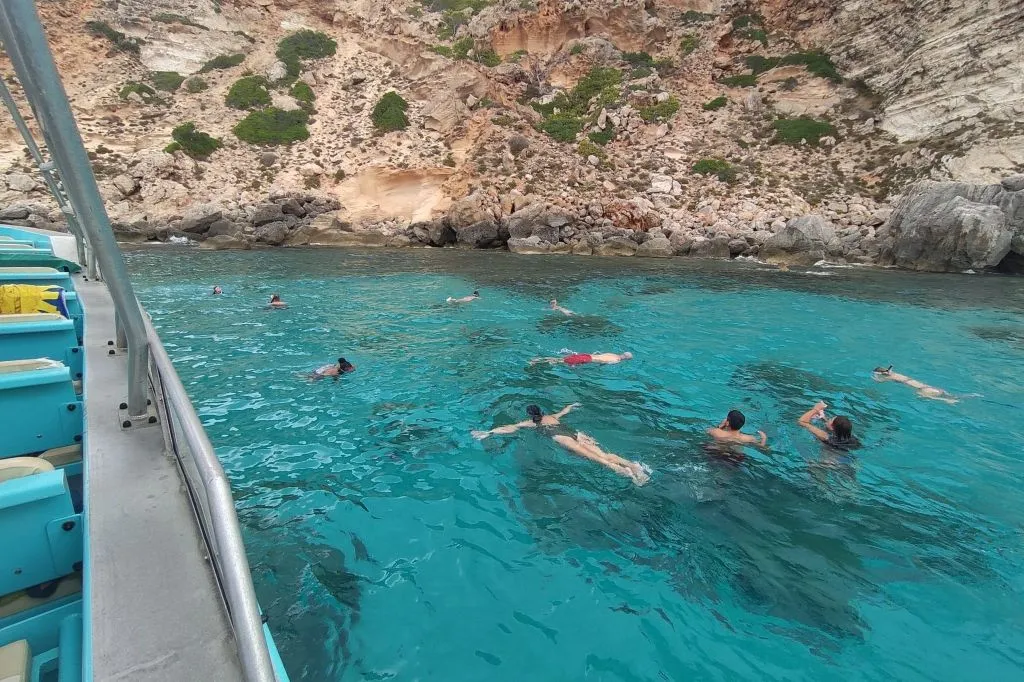 Palma de Mallorca: Excursión en barco para avistar delfines