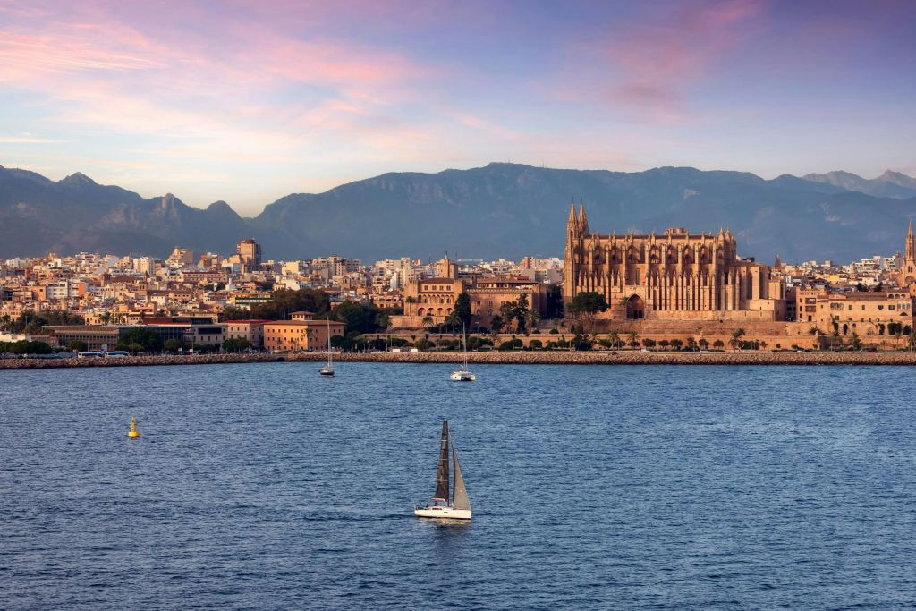 Palma de Mallorca: Excursión en barco para avistar delfines