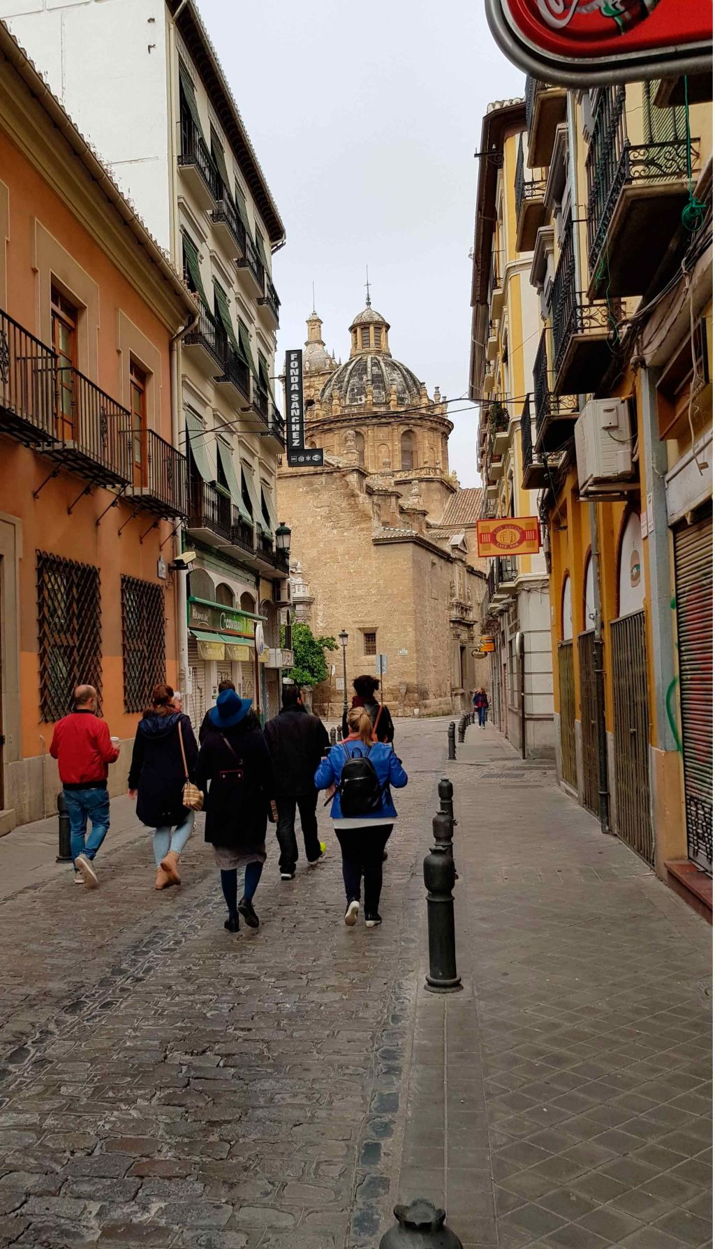 Federico García Lorca: Tour guiado por Granada