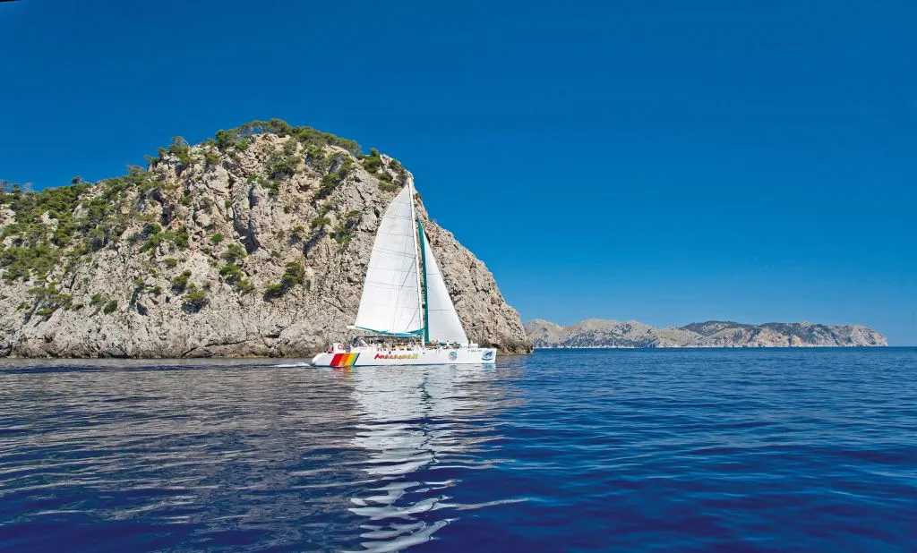 Mallorca: 2-Hour Sunrise At Sea & Dolphin Tour